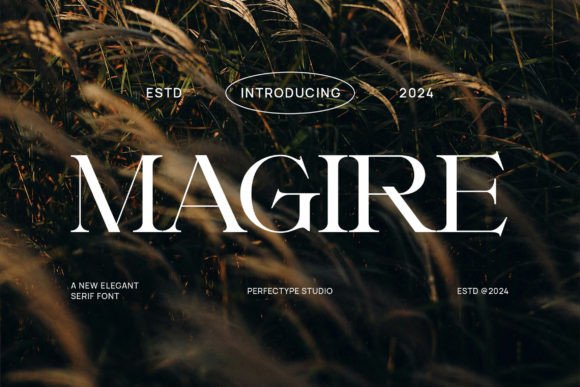 Magire: Bridging Classic Elegance with Modern Brand Needs